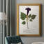 Nature imprimée Botanicals IV, toile encadrée de qualité supérieure - prête à être accrochée-1955749143