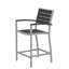 Chaise avec accoudoirs de comptoir POLYWOOD Euro-9705789-9705799