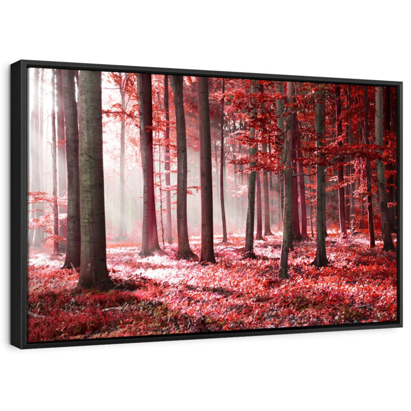 Nature «Red Forest Sunlight Canvas Print», H 21 po x l 31 po