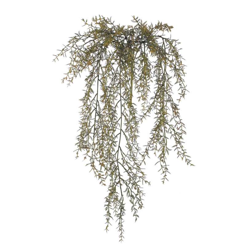 Pulvérisateur de feuilles de corail