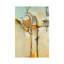 Colour Of Life IV by Lisa Ridgers - Wrapped Canvas Gallery-Wrapped Canvas Giclée-191695800