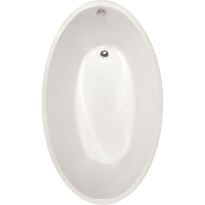 Carli 60'' L Soaking Bathtub