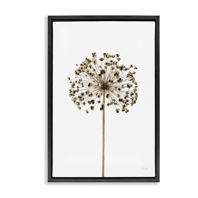  Toile flottante encadrée Minimal Allium Bud par Deborah Revell