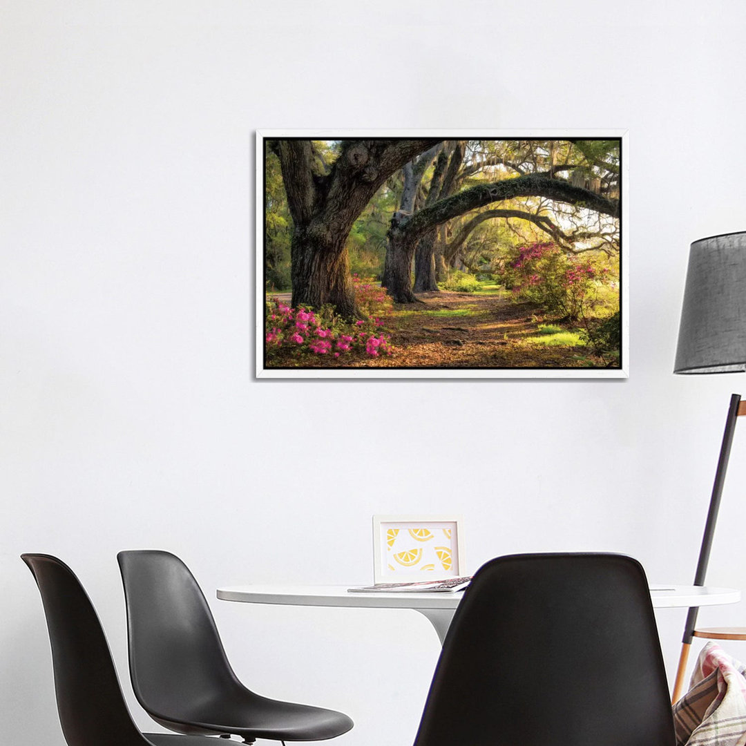 Under The Live Oaks I von Danny Head - Galerie- Giclée auf Leinwand