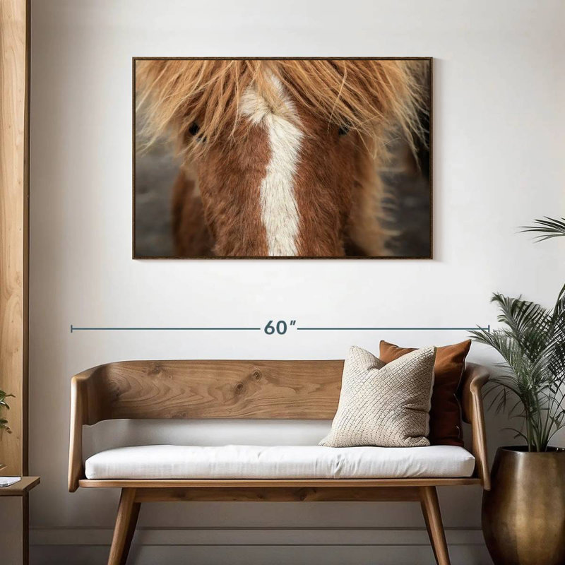Gros plan d'un cheval Islandais, 43 po x 29 po, Cadre flottant noyer