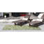 Tapis vert botanique Hague-323529248