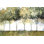 " Neutral Treeline " Painting Print