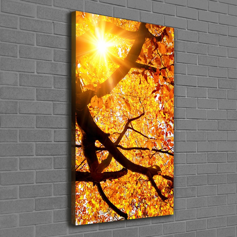 Colourful Fruits - Wrapped Canvas Print