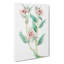 Pink Evening Primrose Flowers - Wrapped Canvas-55324765