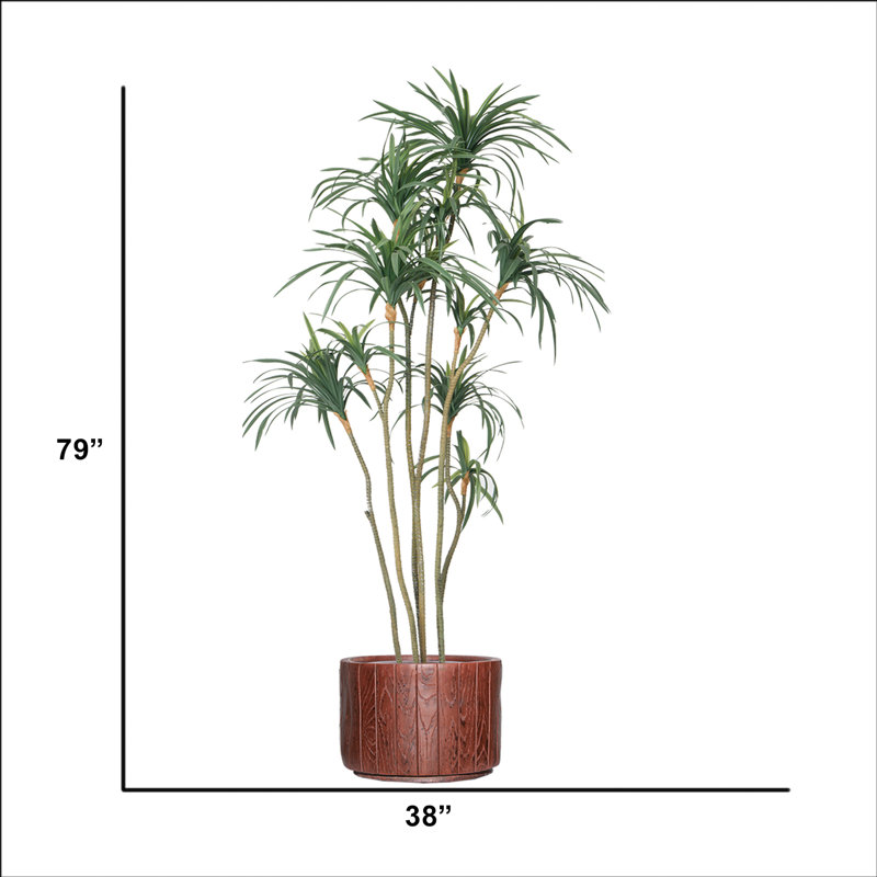 Dragon artificiel 79 po en pot
