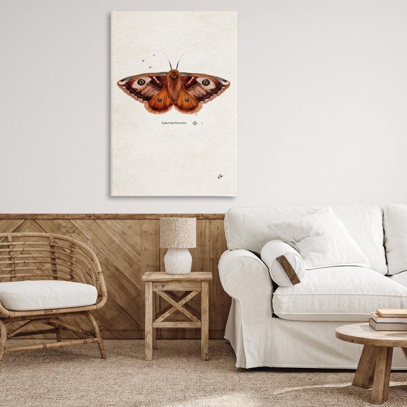 Art scientifique sur toile «Moth» par Lydia Orange, H 45 po x l 30 po