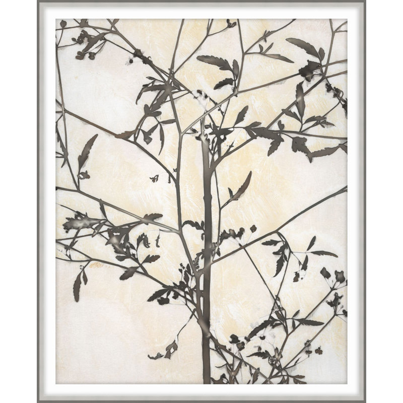 Inscrutible Botany 1 Print by Darrell Kincer, 20.75" H x 17.75" W