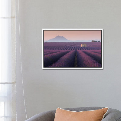 Lavender Fields Of Provence III by Daniel Kordan - Print on Canvas