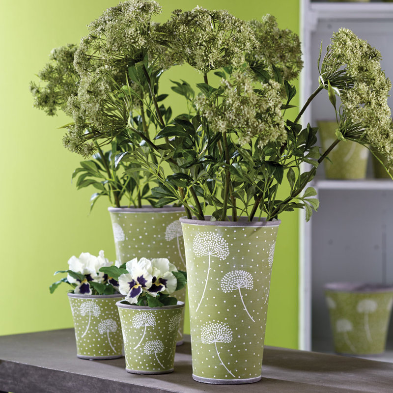 24-Inch Blossom Bud Stem