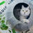 Felt Nest Pet Bed-93925560-50510748