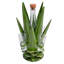 Agave Reserve Bottle & Shot Holder in Bright Green-544571643