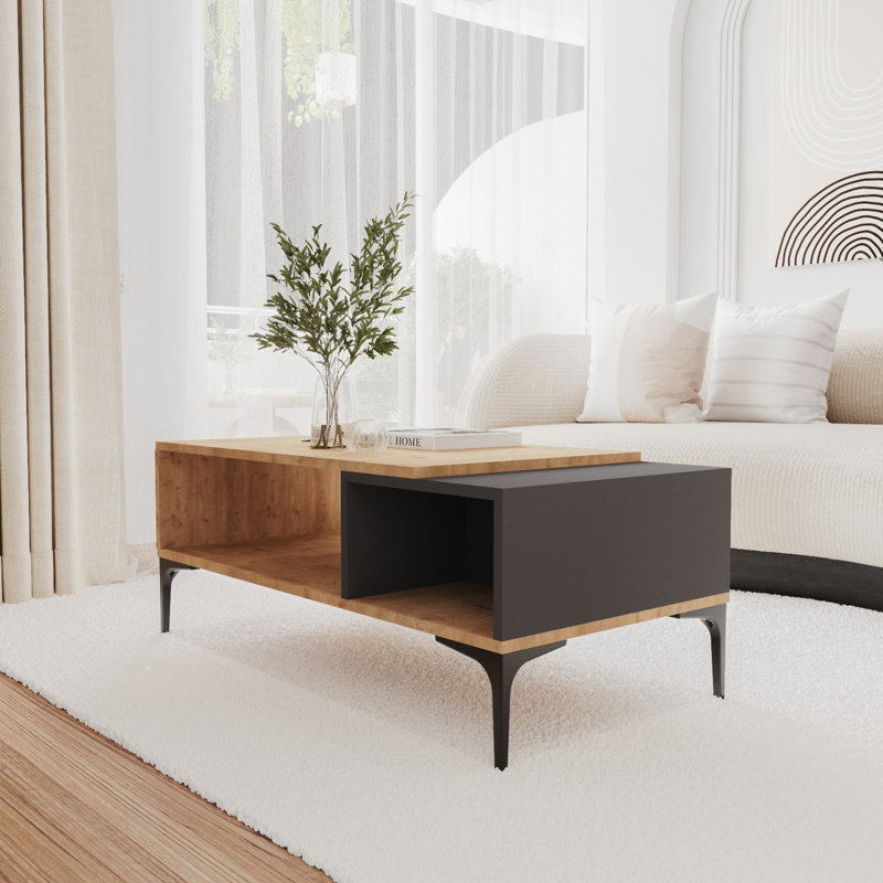 Elberfeld Coffee Table with Storage, Grey/Brown