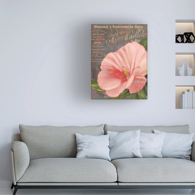 Bolog Sasha Peach Hibiscus Canvas Art