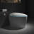Unique Smart Toilet with Bidet Built In, Intelligent One Piece Toilet For Modern Bathroom, Auto Open/Close Seat-114279834