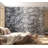 Wall Mural-880821233