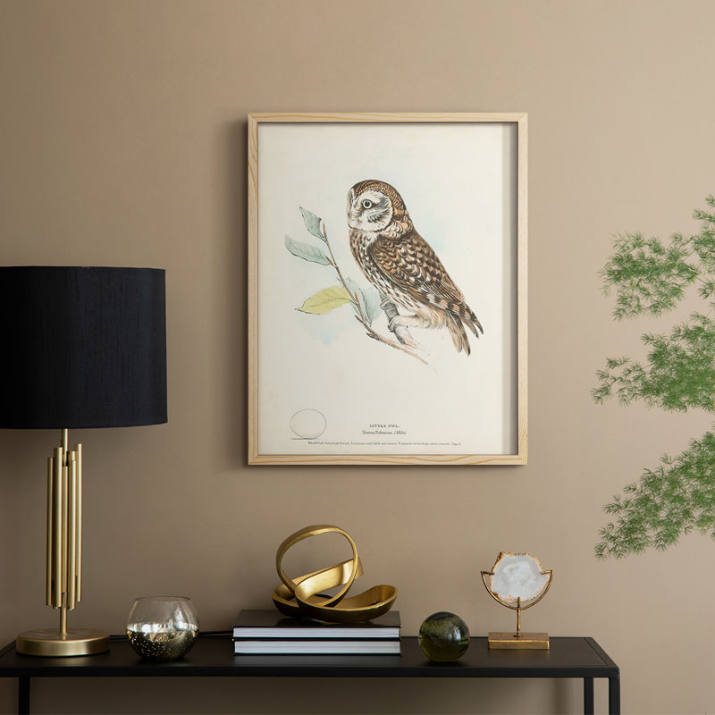Little Owl Framed Print - Solid Wood, 11" H x 9" W