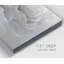 Doux pivoine - impression sur toile tendue-1572642000