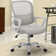 Drusilla Ergonomic Mesh Task Chair