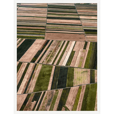 Warm Fields 1 Print by Nathan Turner