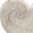 11.5X6.7X7.7" Sand And Cement Nautilus Shell Planter With Textured Beige Finish-1467337239