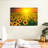 Alvord Sunset With Sunflowers-107502710