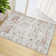 Alcibades Washable Oriental Indoor Rug