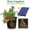 Irrigations solaires