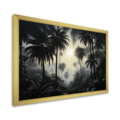 " Palm Trees Palm At Night "