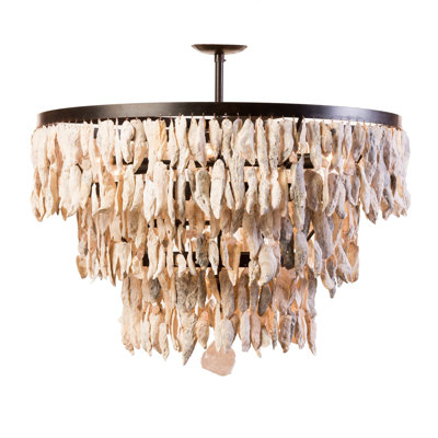 Oyster Shell 12 - Light Chandelier