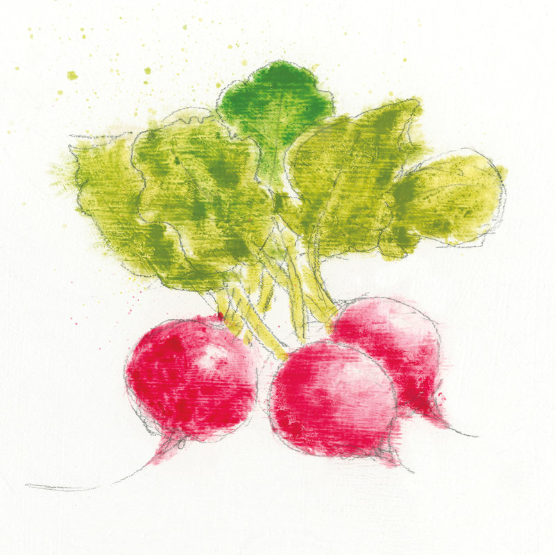 «Garden Delight X» par Emily Adams - peinture sur toile sans cadre, H 12 po x l 12 po
