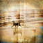 Coastal Sunrise IV Print by Zoey Riley-26704892-26704890