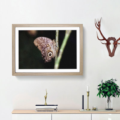Beauty Of A Butterfly - Single Picture Frame Painting