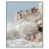 White Floater Frame