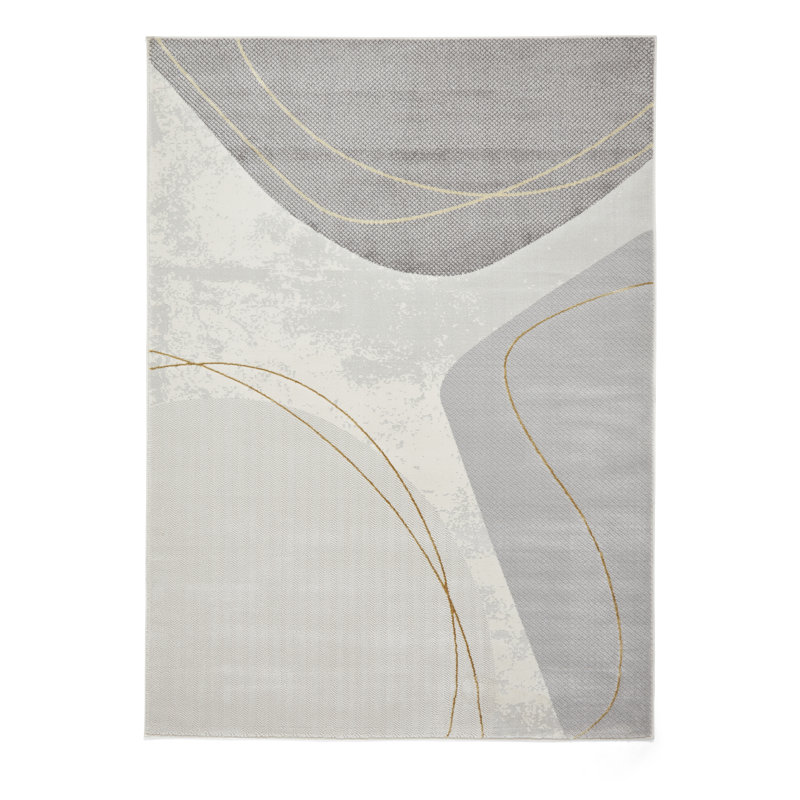 Apollo area rug Machine Woven Rectangle, Rectangle 120 x 170cm