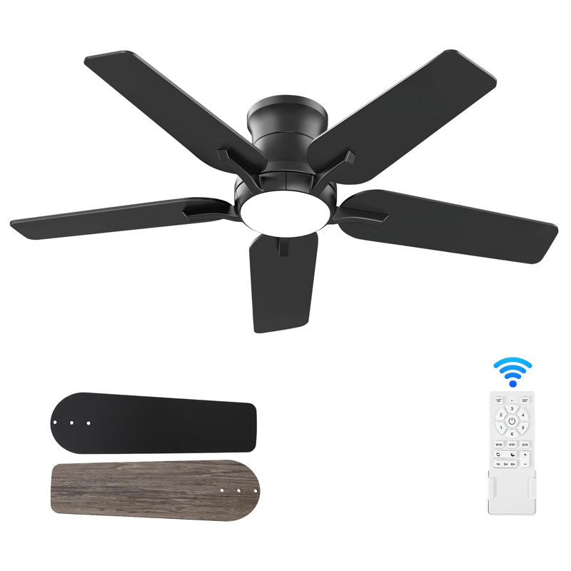 Ventilateurs de plafond de 42 pouces avec lumières et télécommande, Noir, noir, noir, noir