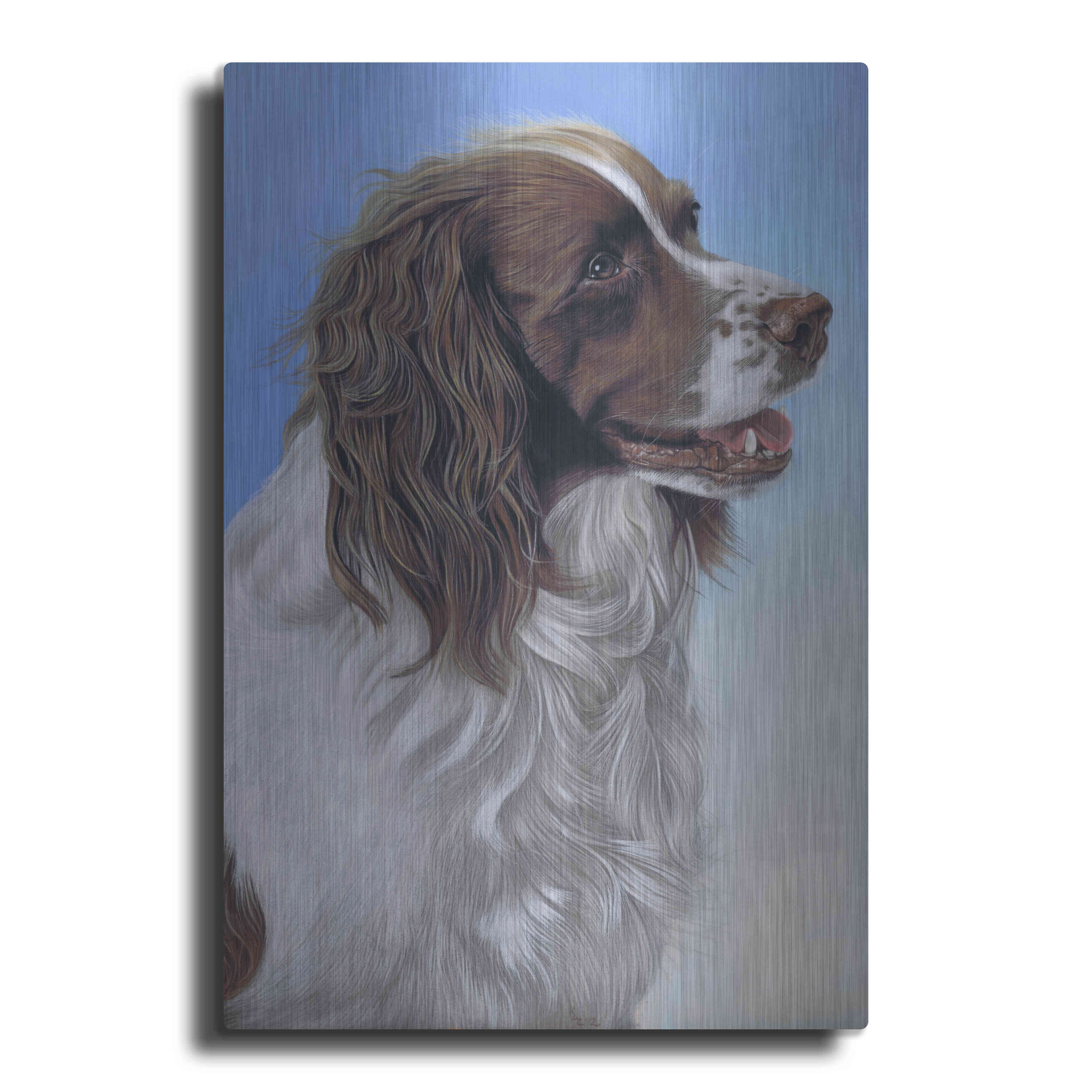 Springer Spaniel Brodie On Metal by Karie Ann Cooper Print