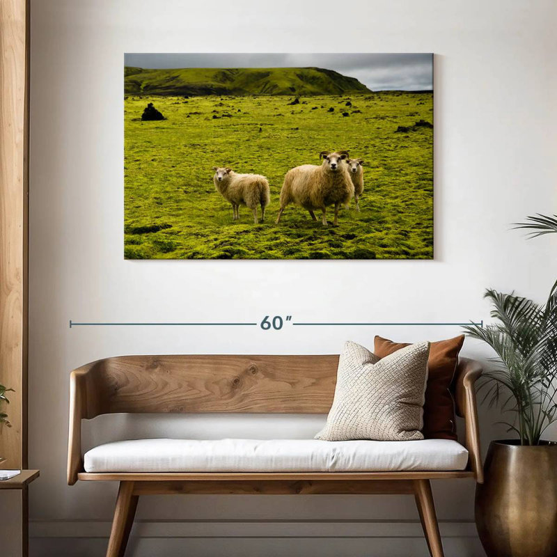 Crowle Icelandic Sheep, 30" H x 45" W