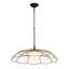  Luminaire suspendu intérieur / extérieur 1 lumière Lakeside