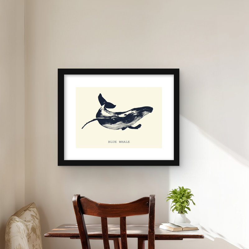 Croquis de baleine bleue - reproduction encadrée mate pour la décoration intérieure, Noir
