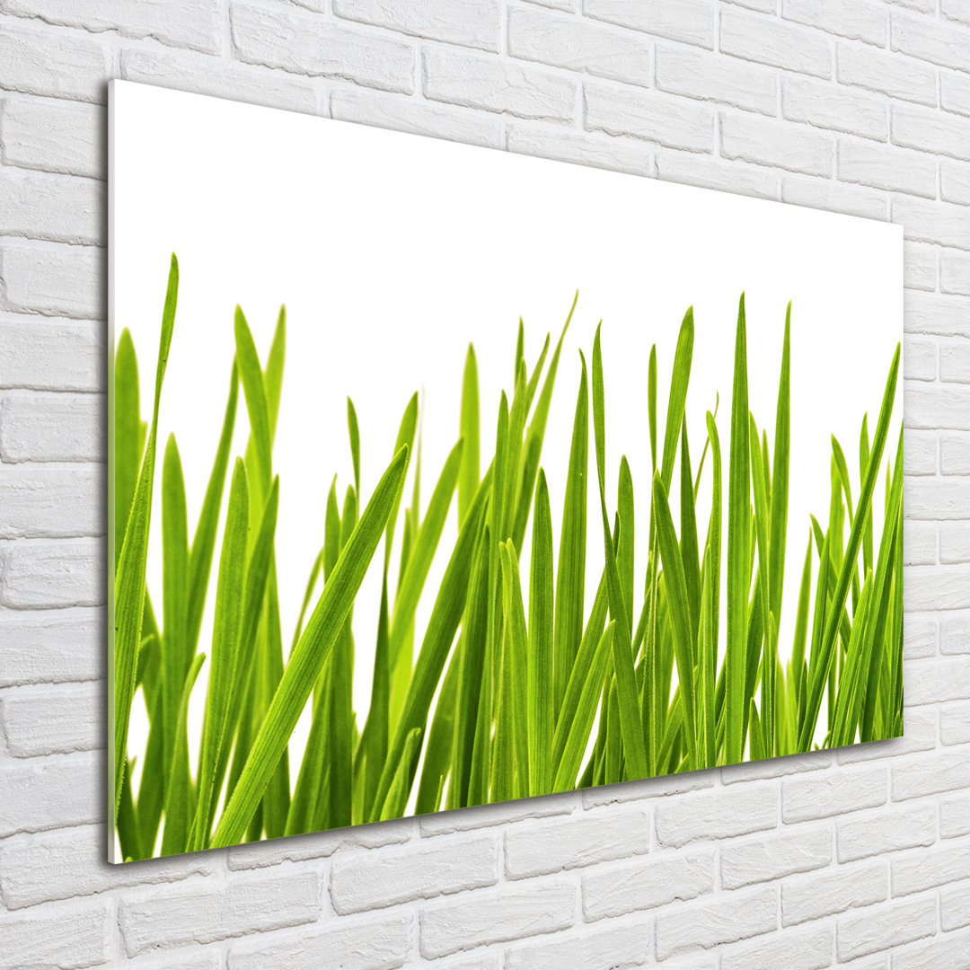 Glasbild Grass