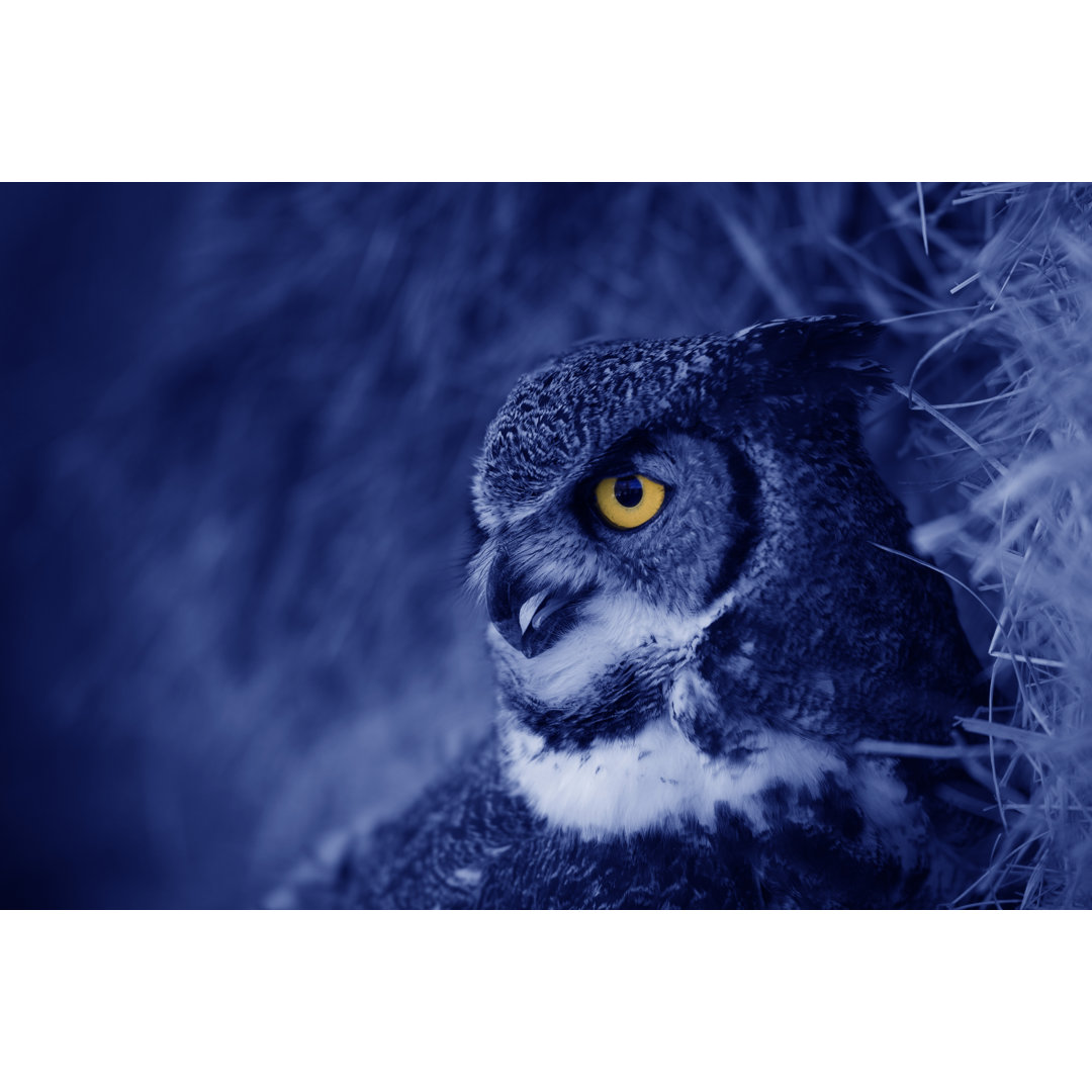 Hooting Owl At Night von ZE14361 - Kunstdrucke auf Leinwand ohne Rahmen