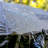 Tent-98431986-98431989