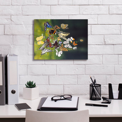 'Butterflies' by Harro Maass, Canvas Wall Art
