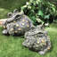 Statue de jardin fantaisiste crapaud «Dreamer»-637345890-637345889