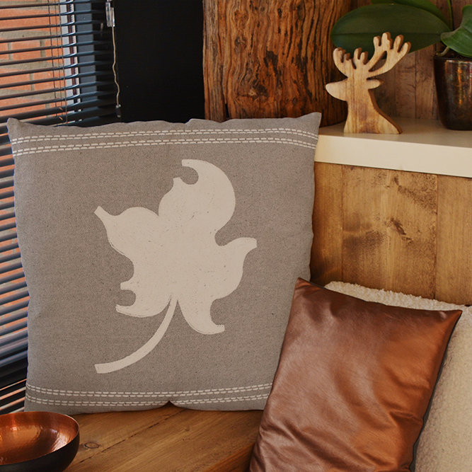 Housse de coussin en lin , Plumes